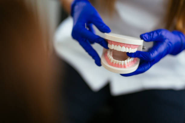  Montoursville, PA Holistic Dental Care Services Pros